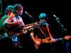 Landoftalk-echoplex-16