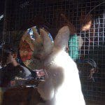 img_0052