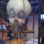 img_0061