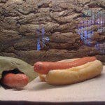 img_0069