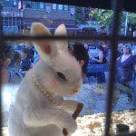 img_0072