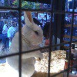 img_0073