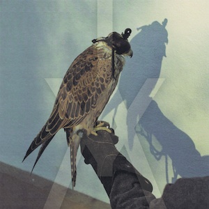 Iceage_AlbumArt